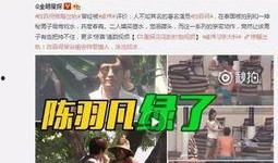 爆料谢楠出轨事件视频大全,事件真相与舆论风波全解析